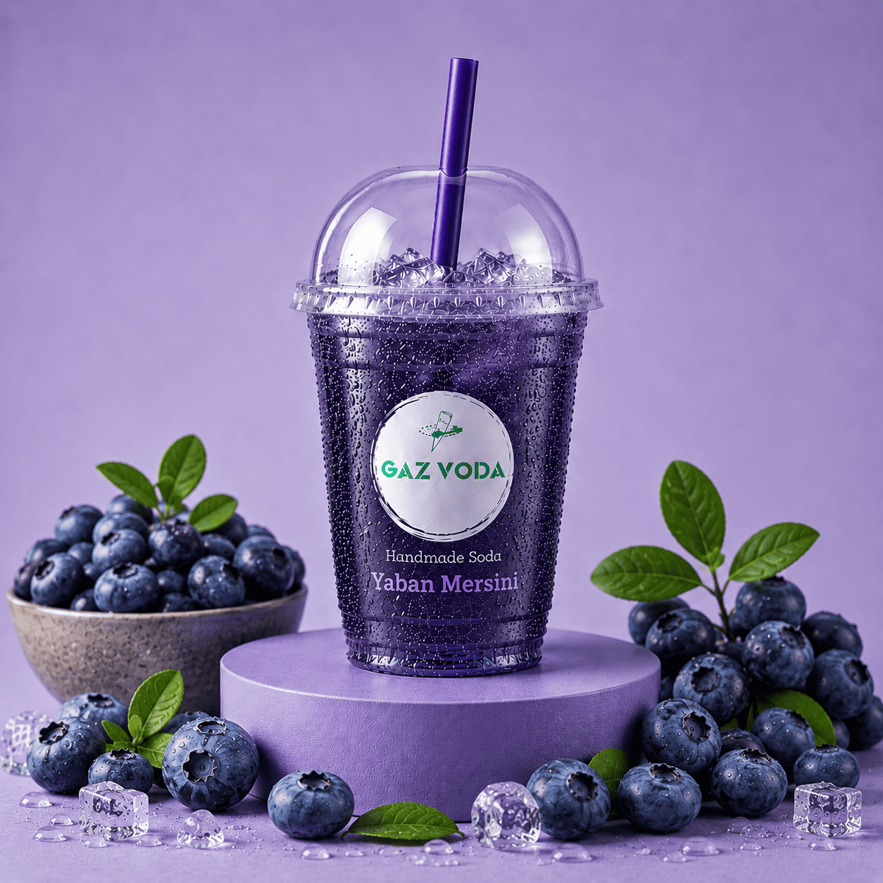 Blueberry Gazvoda